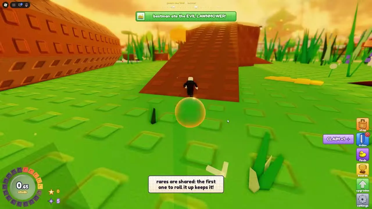 Tutorial explaining shared rare objects